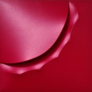 "Baio - Red" - 2017 - Giuseppe Amadio (Todi, 1944)