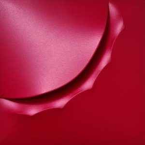 62 “Baio Rosso” 2017 – Giuseppe Amadio (Todi, 1944)